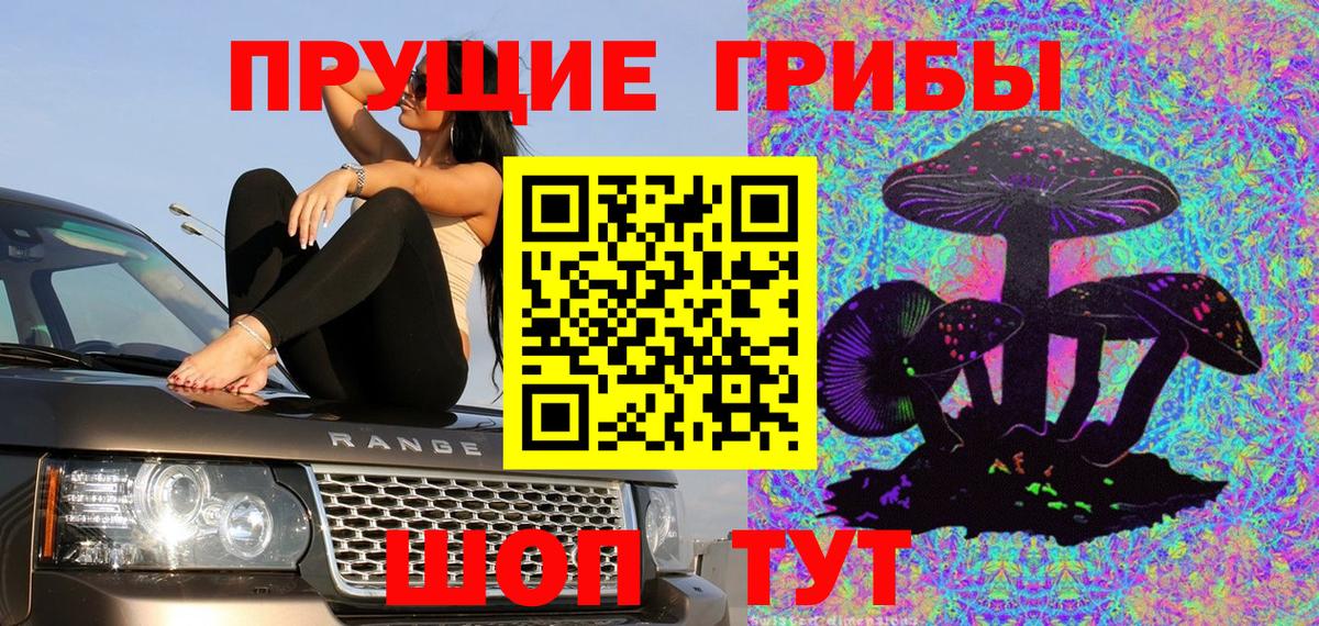 Галлюциногенные грибы Cubensis Киров