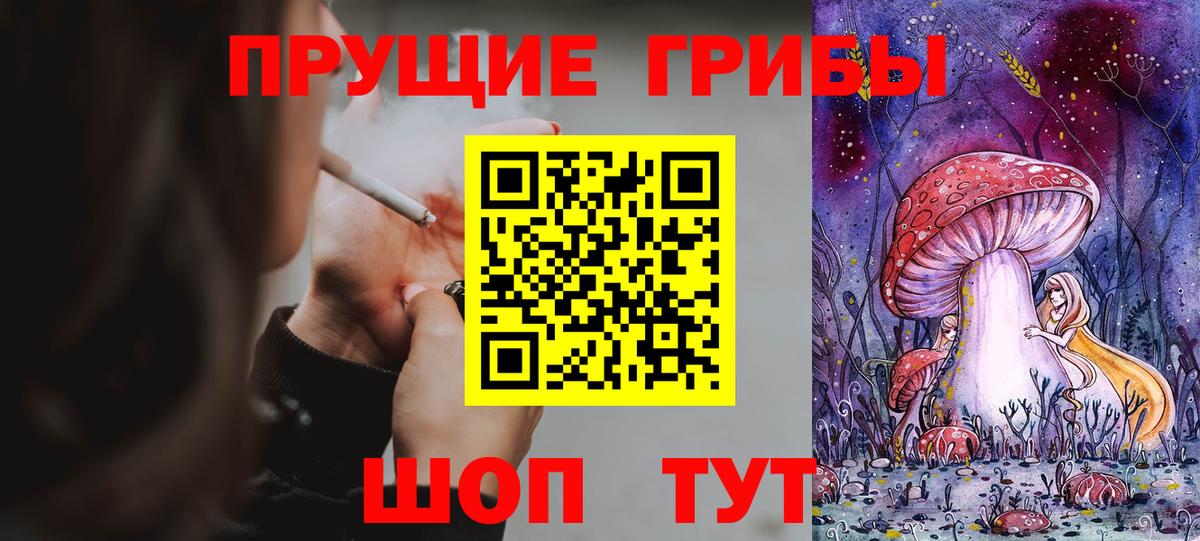 Киров  Галлюциногенные грибы прущие грибы  Вход с VPN 
